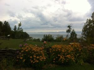 A beautiful storm rolling in over the lake; a great view over the yellow flowers!
